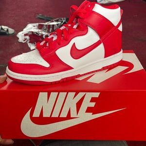 Brand New Dunk High